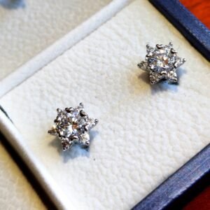 Aretes "Modelo Bloomligth"